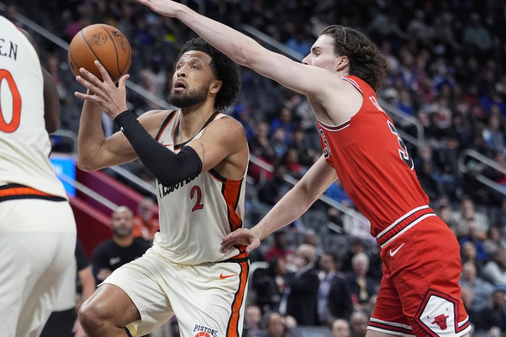 种释然和不 种释然和不