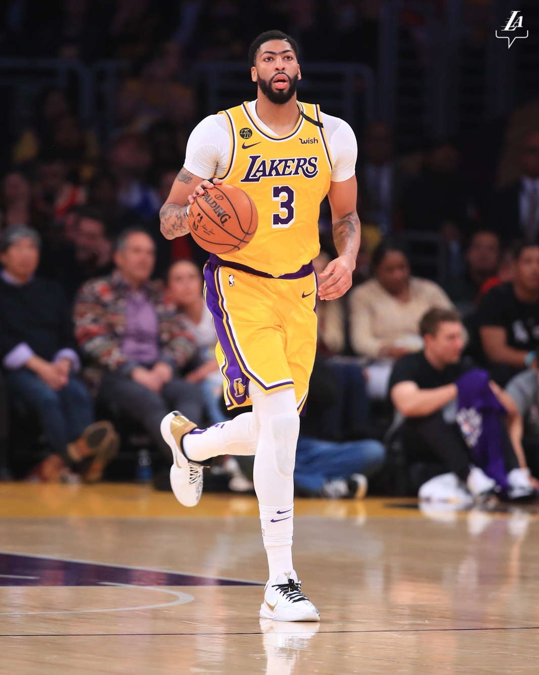 展望与调整 展望与调整